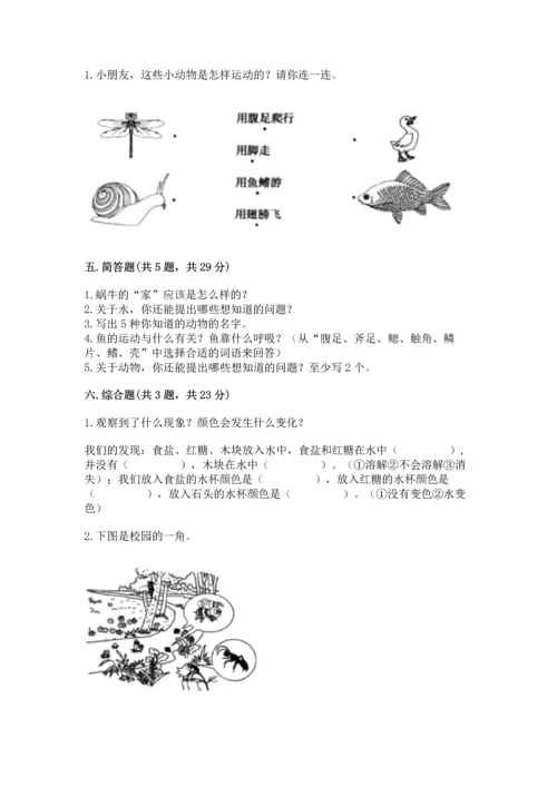 教科版一年级下册科学期末测试卷附完整答案【夺冠系列】.docx