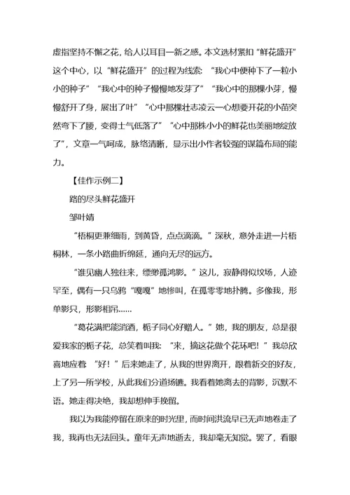 中考优秀作文范文：路的尽头鲜花盛开