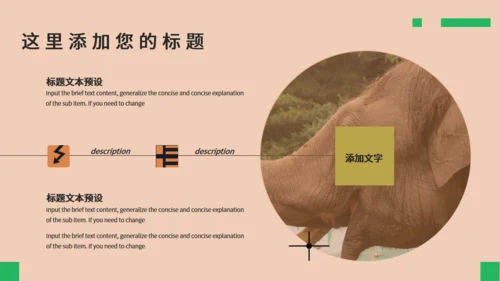 保护野生动物生态通用PPT模板
