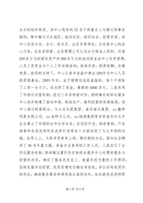 关于×镇农牧综合服务中心建设有关情况的调查.docx