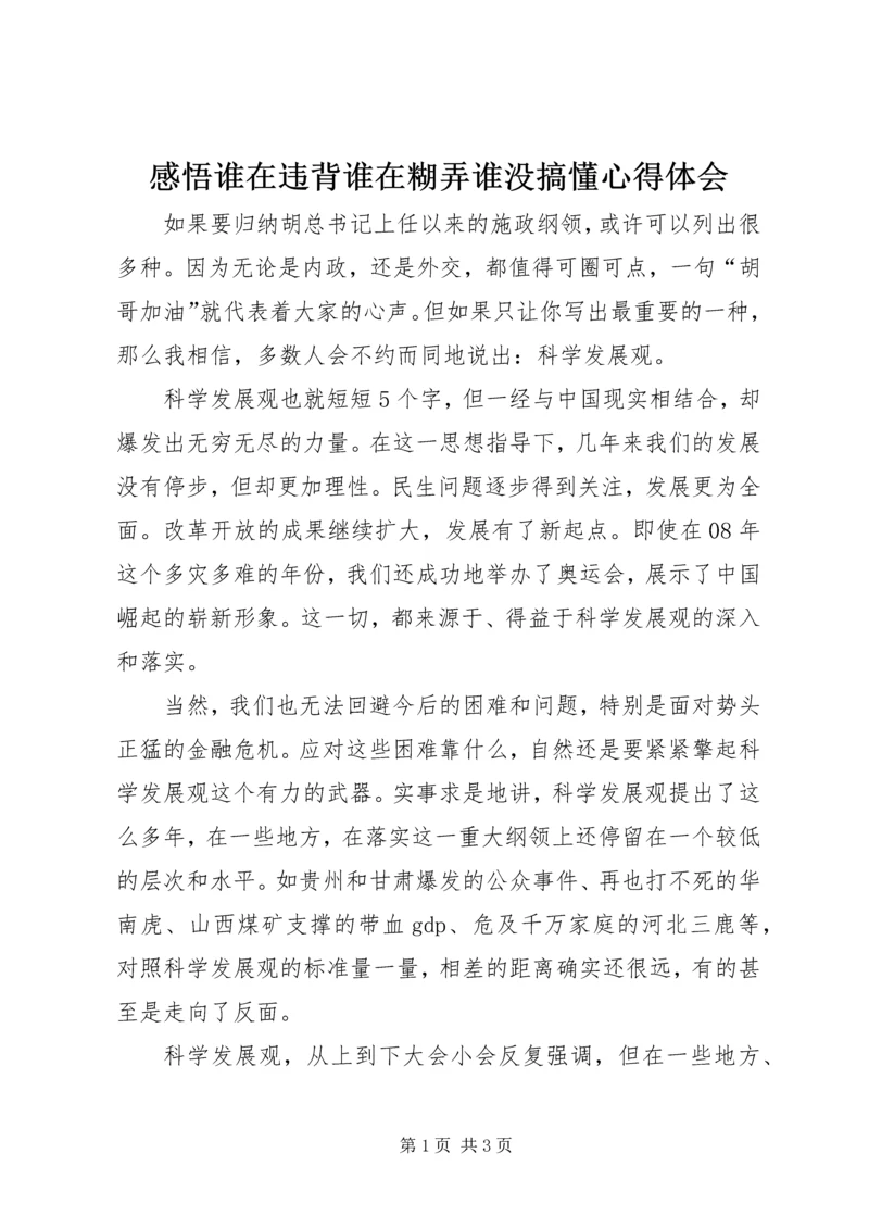 感悟谁在违背谁在糊弄谁没搞懂心得体会.docx