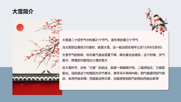 二十四节气之大雪PPT模板