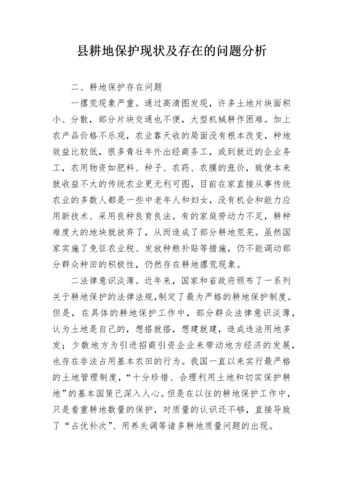 县耕地保护现状及存在的问题分析.docx