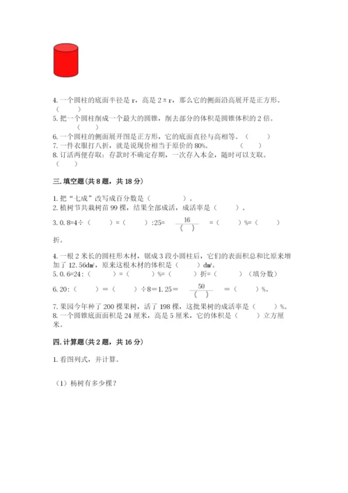 北京版六年级下册数学期中测试卷【综合卷】.docx