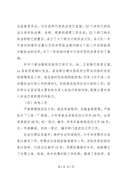 法制办年度工作总结及来年工作计划.docx