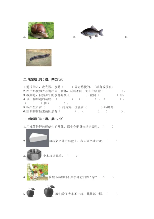 教科版一年级下册科学期末测试卷精品（全优）.docx