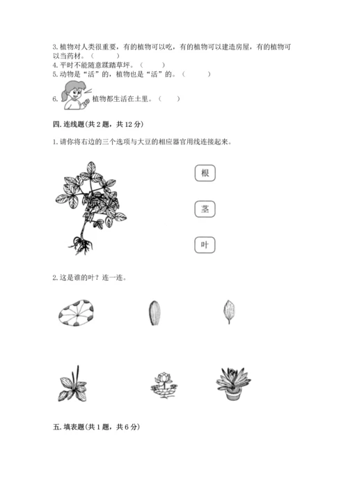 教科版科学一年级上册第一单元《植物》测试卷附答案【a卷】.docx