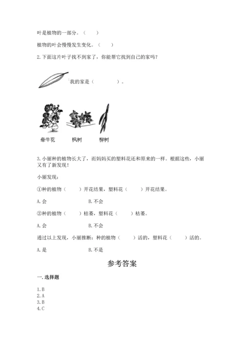 教科版一年级上册科学期末测试卷【培优】.docx