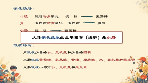 人教版（新课程标准）七年级下册4.2.2 消化和吸收课件(共22张PPT)