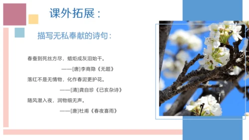 统编版六年级语文上册同步高效课堂系列第四单元（复习课件）