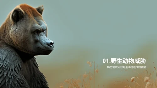 简约风其他行业教学课件PPT模板