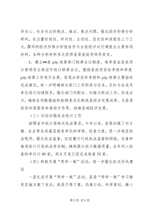 统计局XX年上半年工作总结及下半年工作安排精编.docx