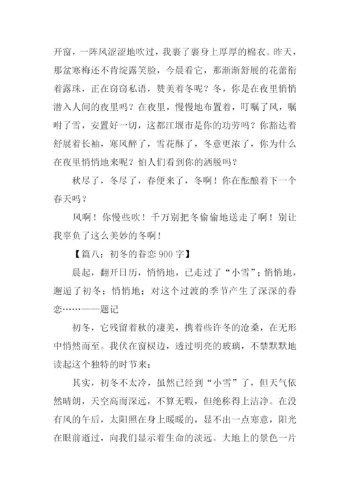 关于初冬的作文.docx