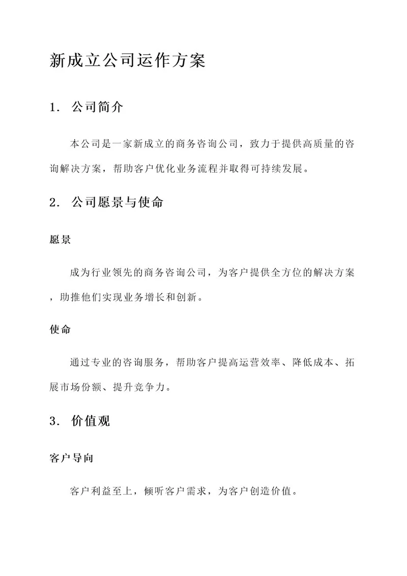 新成立公司运作方案