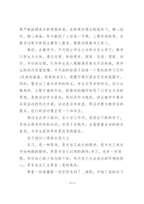 实习培训心得体会范文5篇.docx