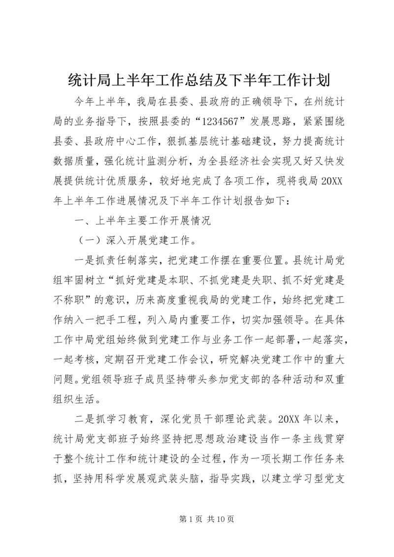 统计局上半年工作总结及下半年工作计划.docx