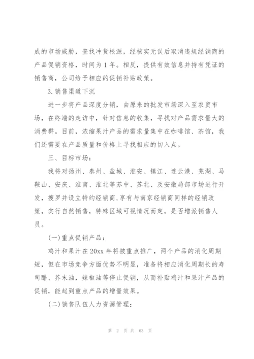 总监年度工作计划.docx