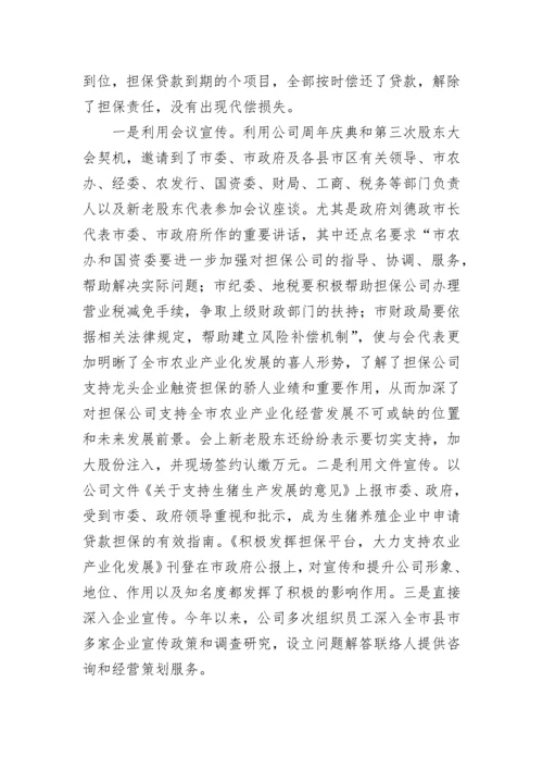 2023年融资担保公司年终总结(十篇).docx