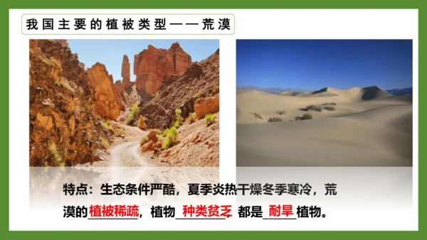 3.6 爱护植被，绿化祖国2023-2024学年七年级生物上册精品课件（人教版）(共21张PPT)