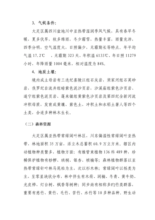 大足区雷竹产业发展重点规划.docx