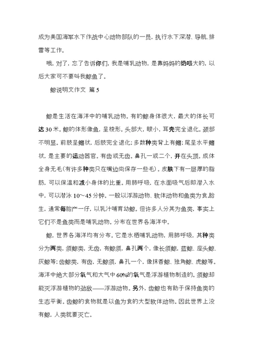 鲸说明文作文合集五篇