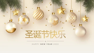 圣诞快乐圣诞节组织活动策划方案PPT