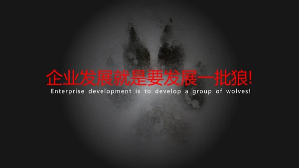 狼性文化教学企业团队培训PPT课件