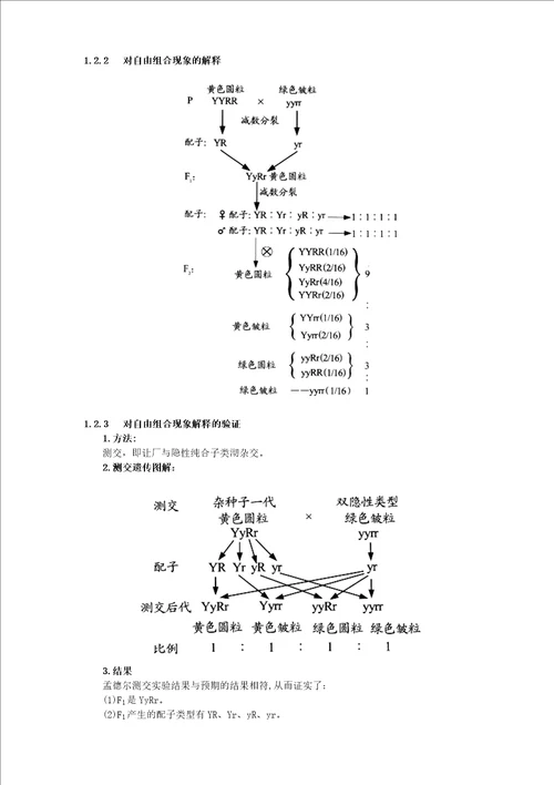 生物必修2知识