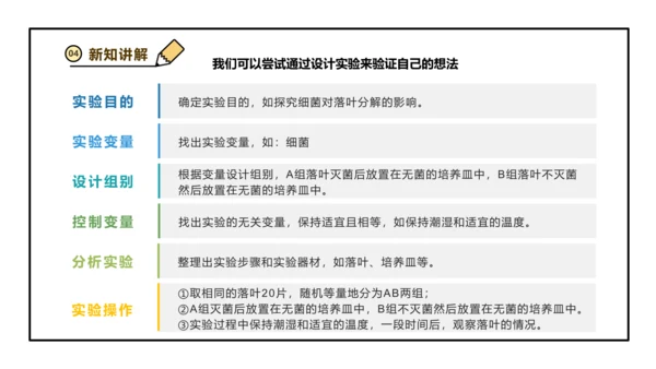 人教版生物八上 5.6 微生物与人类、自然界的关系(共29张PPT)