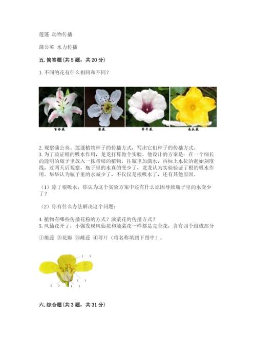 教科版四年级下册科学第一单元《植物的生长变化》测试卷精品【必刷】.docx