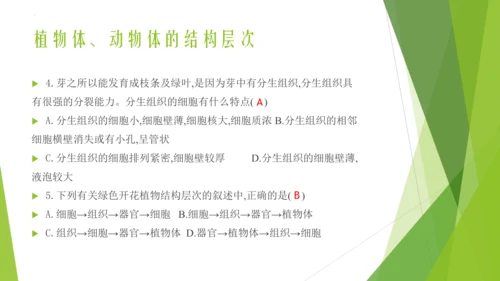 人教版生物七年级上册期中复习课件(共19张PPT)