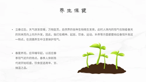 白色简约小清新传统二十四节气立春主题PPT模板