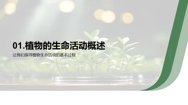 揭秘植物生命