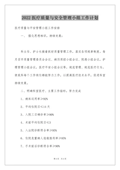 2022医疗质量与安全管理小组工作计划_1.docx