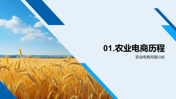 农业电商浪潮