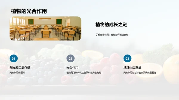 生活中的科学启示