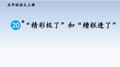 20 “精彩极了”和“糟糕透了”  教学课件（2课时）