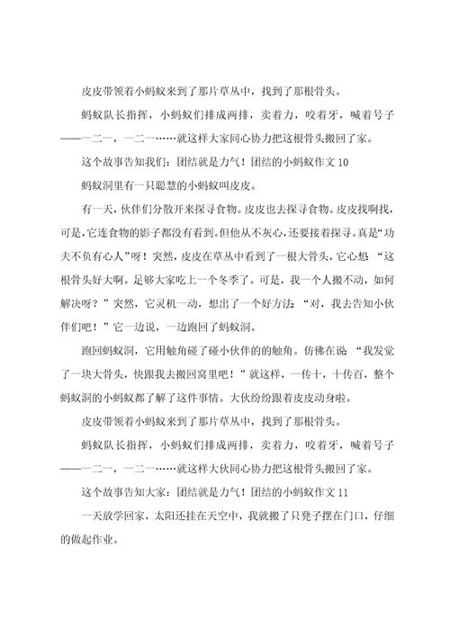 团结的小蚂蚁作文