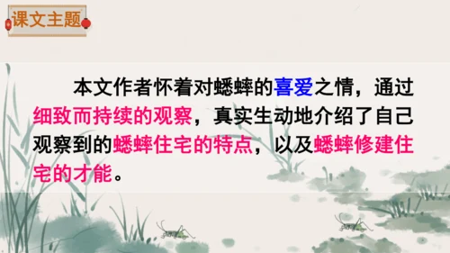 11 蟋蟀的住宅  课件