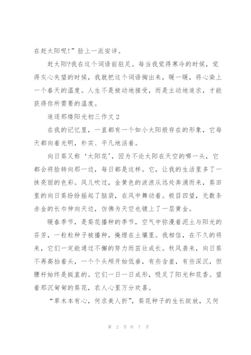 追逐那缕阳光初三作文5篇.docx