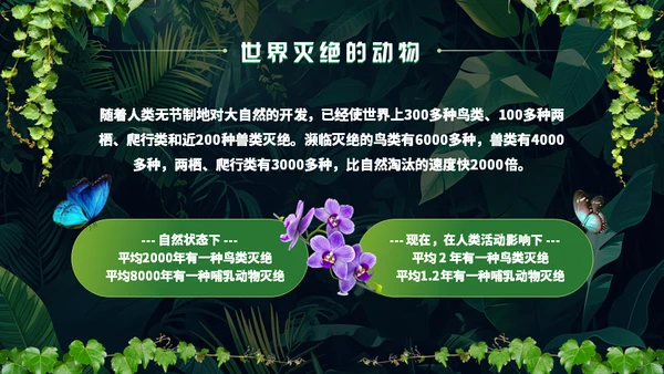 世界野生动植物日保护野生动物通用PPT模板