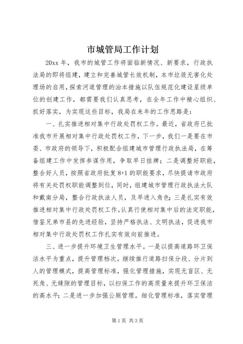 市城管局工作计划.docx