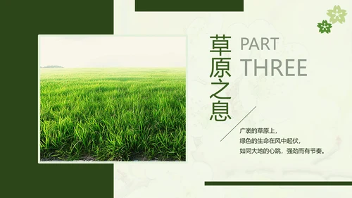 绿色简约风摄影师个人作品集PPT模板