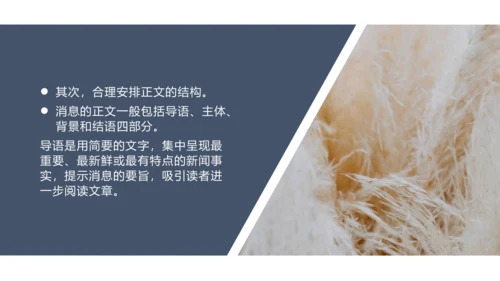 八年级上册第一单元任务二 新闻采访 课件(共25张PPT)