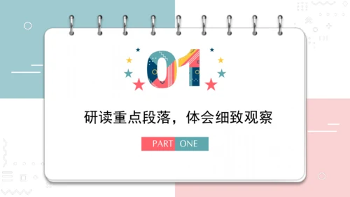 第15课《搭船的鸟》（第二课时）课件