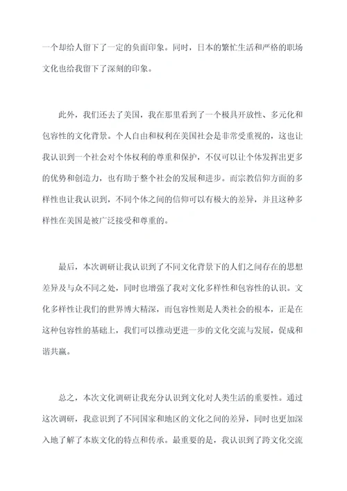 文化调研个人总结