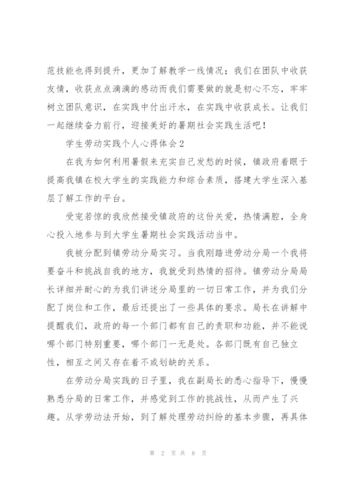 学生劳动实践个人心得体会.docx