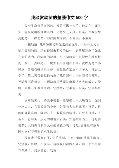 我欣赏幼苗的坚强作文500字.docx