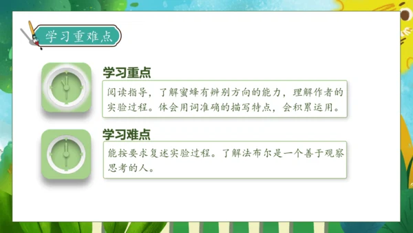 【核心素养】部编版语文三年级下册-14. 蜜蜂 第2课时（课件）