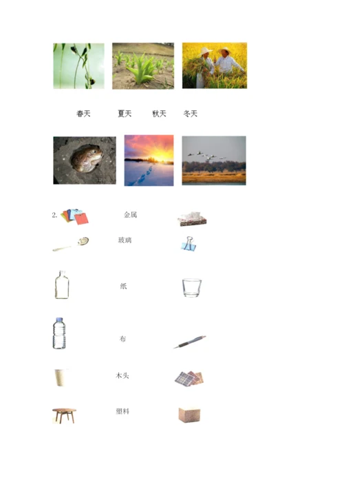 教科版小学二年级上册科学期末测试卷含答案【培优a卷】.docx